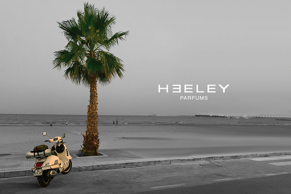 Palm - Heeley