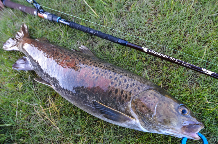 Glissando 66 グリッサンド66「冒険用品」