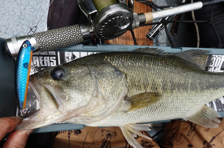 ORCA] fishing rod [METALNER PLANET] ベイトモデル「冒険用品」