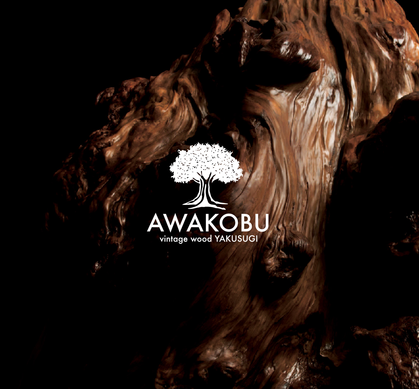 AWAKOBU-屋久杉 - K.フォーシーズン株式会社 | エクセルヒューマングループ