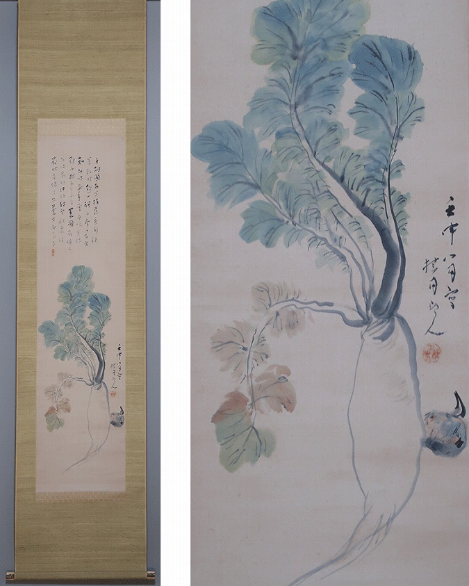 松林桂月 菜菔 | 掛軸(掛け軸)販売／表装ご依頼は掛軸いっぷく掛軸