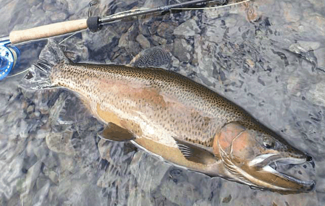 K・Bullet スナイパー シリーズ