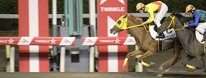 大井競馬場 | 公営競技徹底紹介ガイド