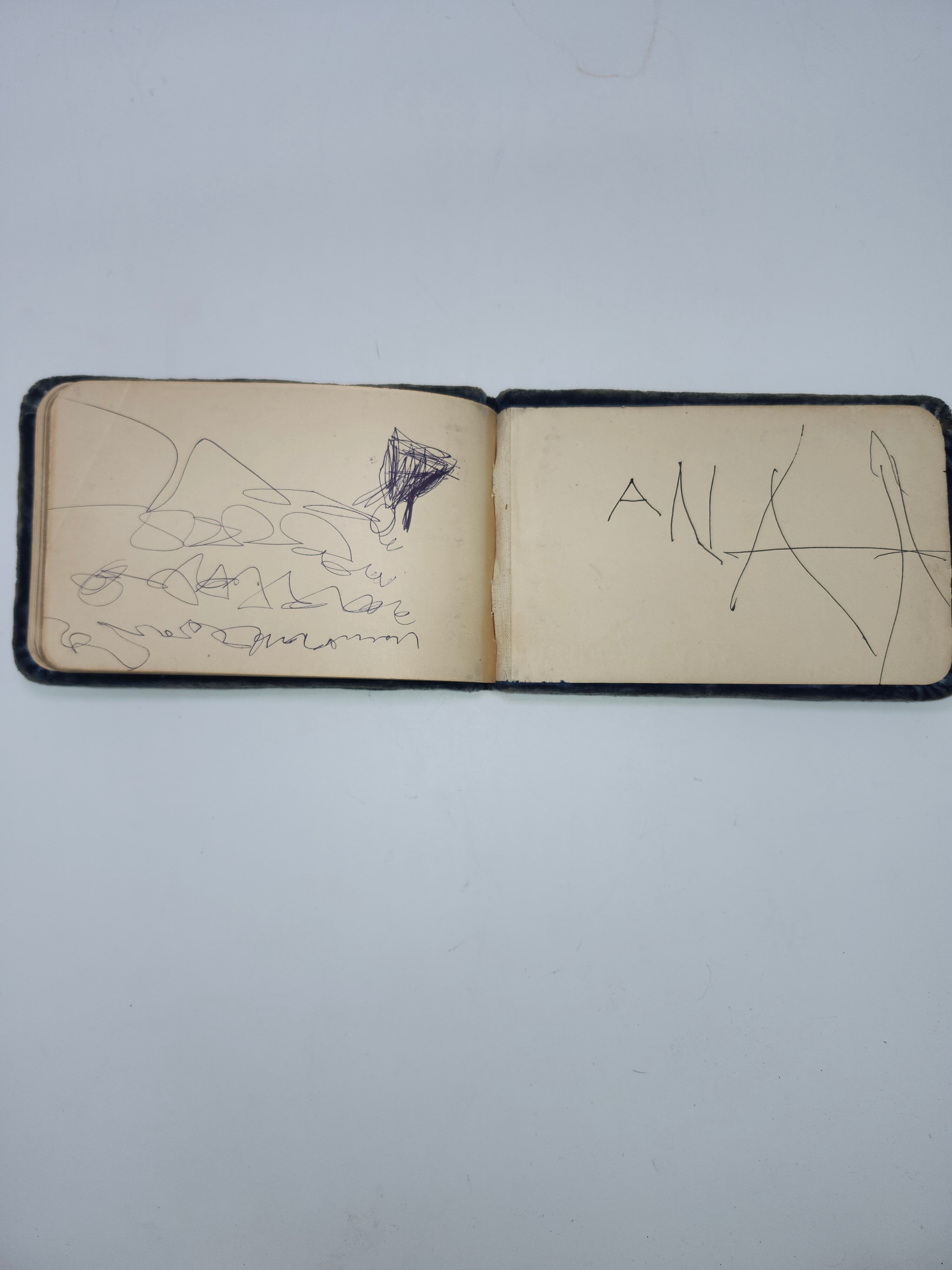 1890s~ Antique Victorian Velvet Autograph Book with Signatures