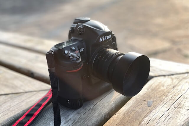 Nikon D3SとNikon Zfを行き来する幸福。｜記憶カメラ