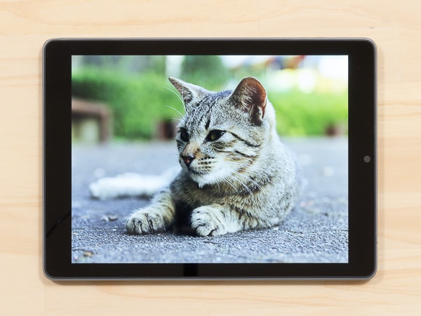 ASUS Chromebook Tablet CT100PA レビュー：高い堅牢性と優れた携帯性