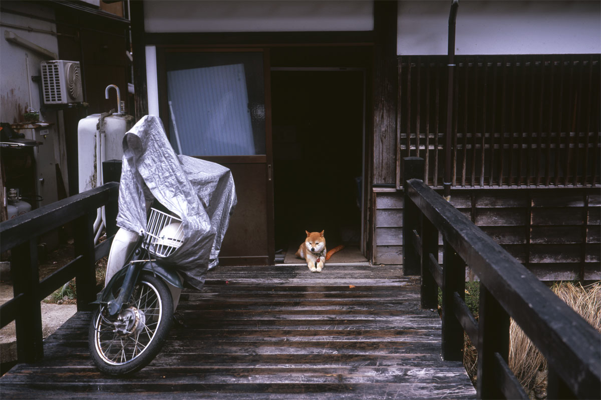 第124話 富士フイルムの中判カメラ FUJI GW690Ⅱ Professional – こ