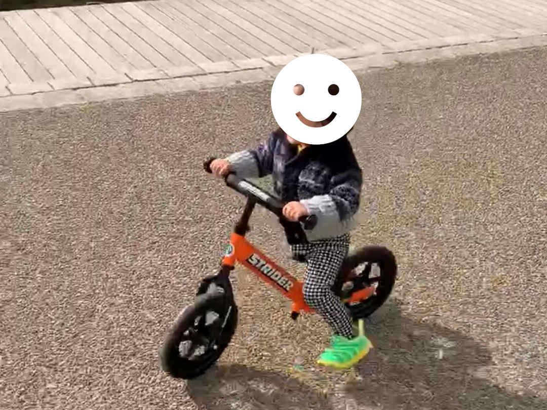 2025】ストライダーはどの種類を買う？正しい選び方のポイントを