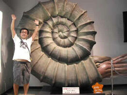 北海道アンモナイトの旅