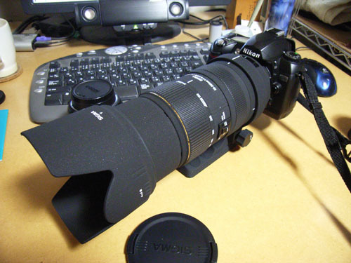 SIGMA APO 50-500mm F4-6.3 EX DG /HSM 購入！: くろねこ三等兵 写真