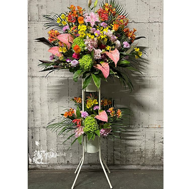 000000000860-01.jpg?size=l&w=