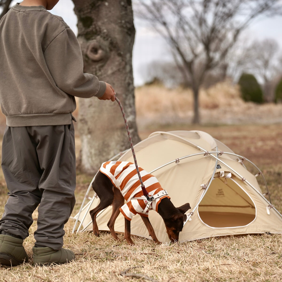 Skydome mini Ivory – LOG