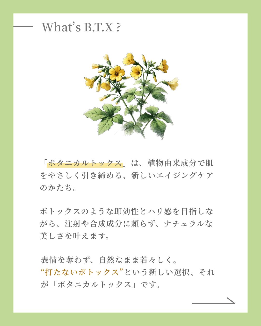 天然ボトックス成分でハリを改善｜B.T.X. エッセンジット化粧水 - LILISHA
