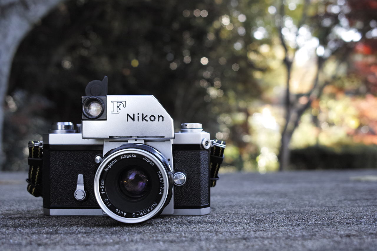 紅葉とNikon Fフォトミック : 休日の探し方