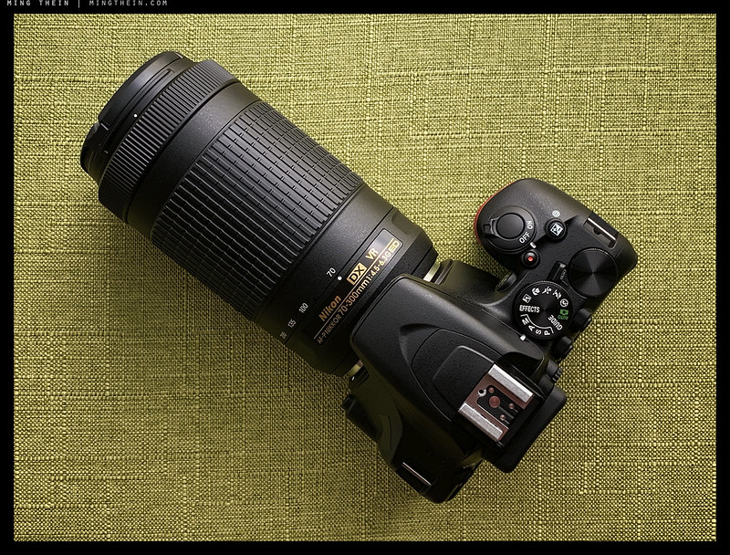 Cheap and long: The Nikon AF-P 70-300mm f4.5-6.3 DX VR G review