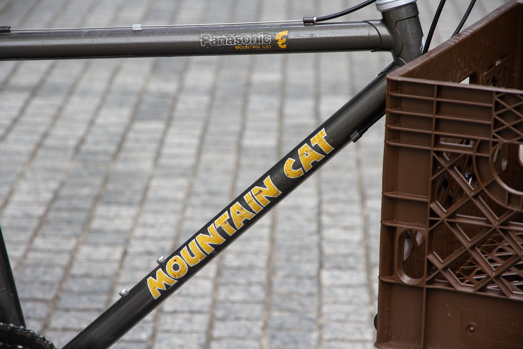 PANASONIC* mountain cat | Frame :*PANASONIC* mountain cat F… | Flickr