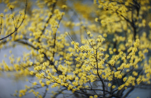 LOMO 35KP KO-140 140mm f/1.8 projector lens | Flickr