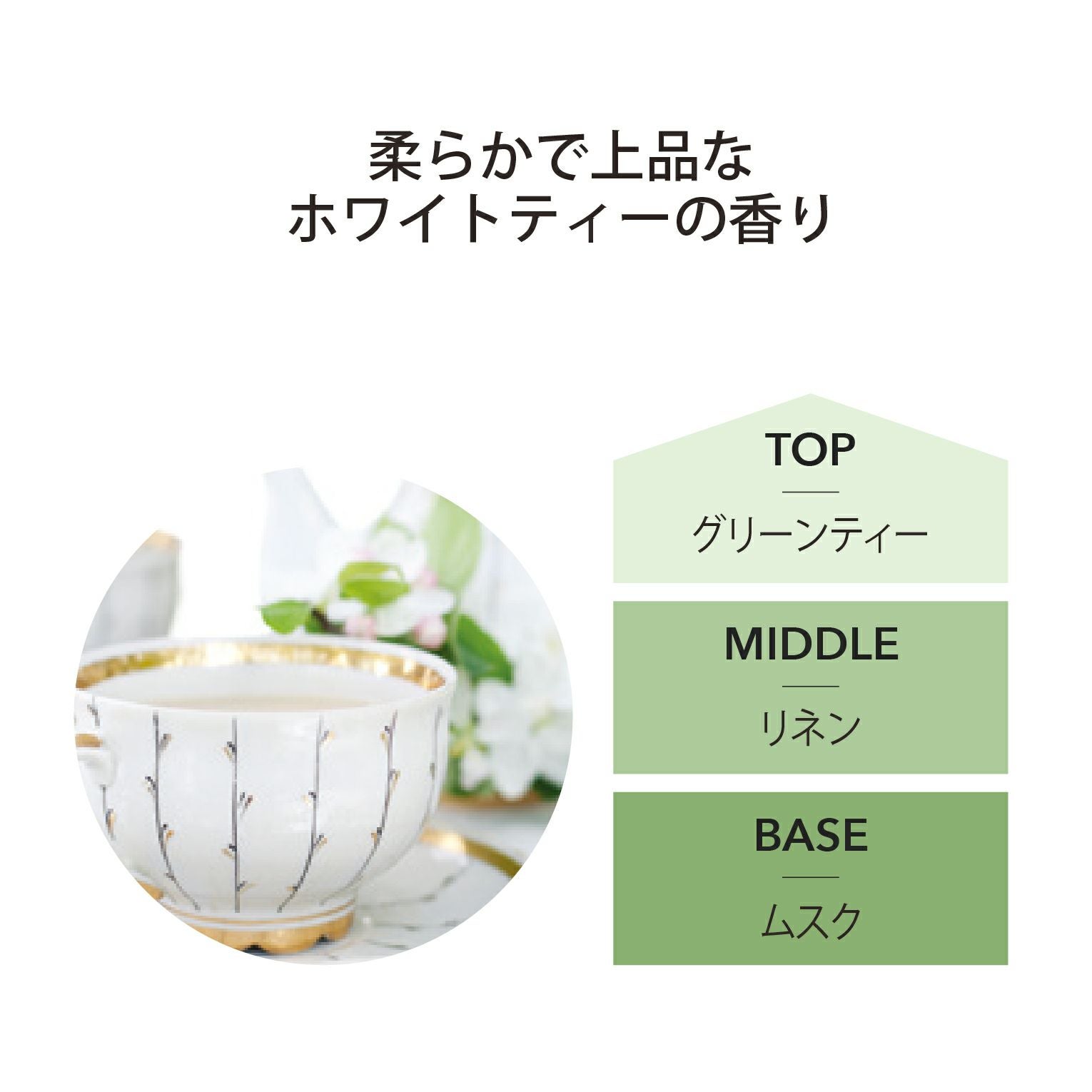 フレグランスランプL スターターキット ASHLEIGH&BURWOOD（アシュレイ