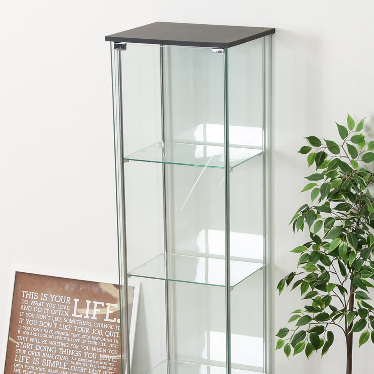 ショーケース 幅42.5cm 4段 コレクションケース ガラス製