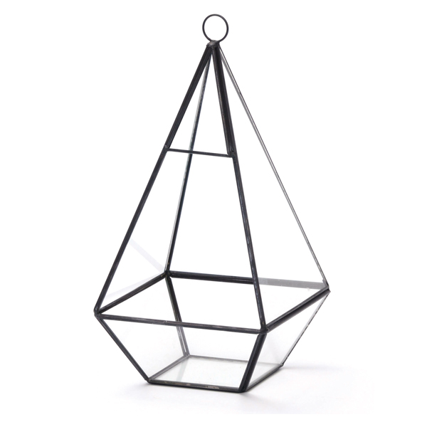 dショッピング |テラリウム トライアングル L ガラス ディスプレイ