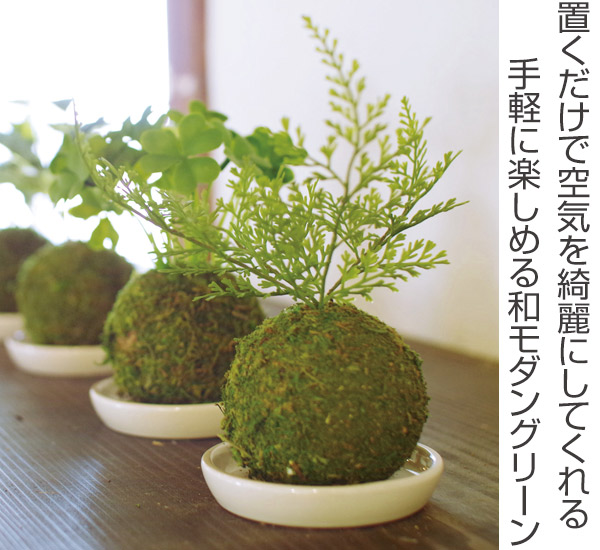 人工観葉植物 WA BONSAI ARTIFICIAL GREEN （ 造花 フェイクグリーン