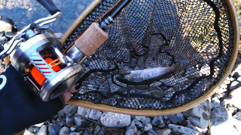 インプレ】パームス エゲリアネイティブ ETVC-46XUL【キャストが楽しい