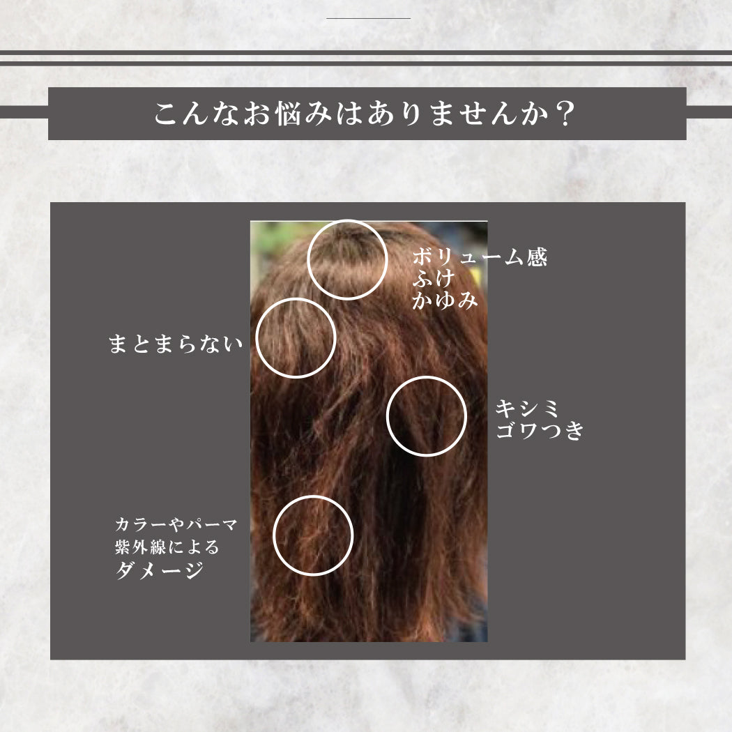 KIYOMIヘアー＆ボディシャンプー｜【公式】リンクス – Lynxmall