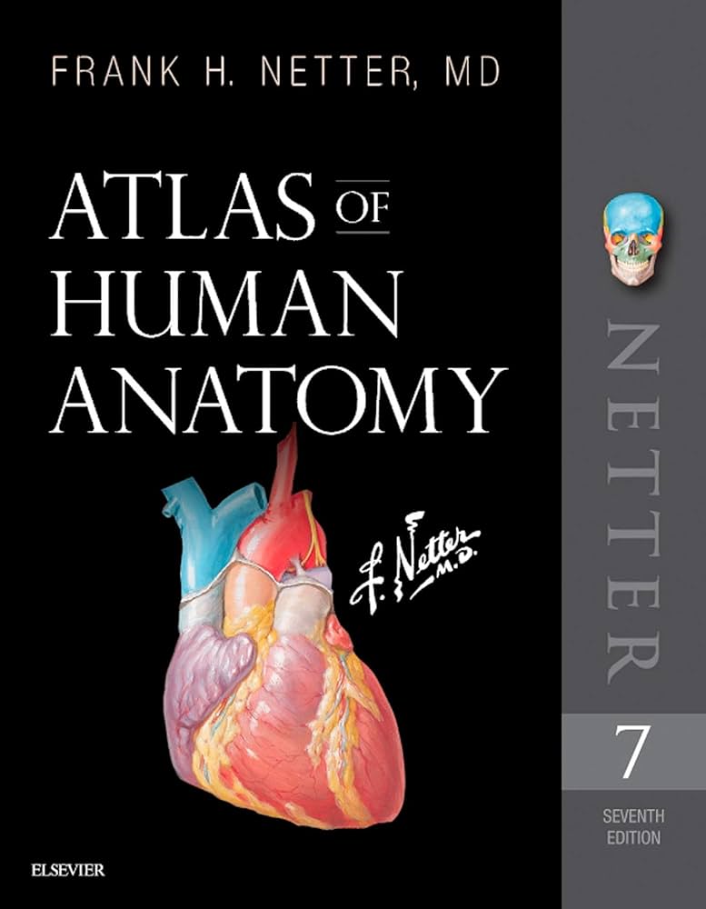 Amazon.com: Atlas of Human Anatomy E-Book: Digital eBook (Netter