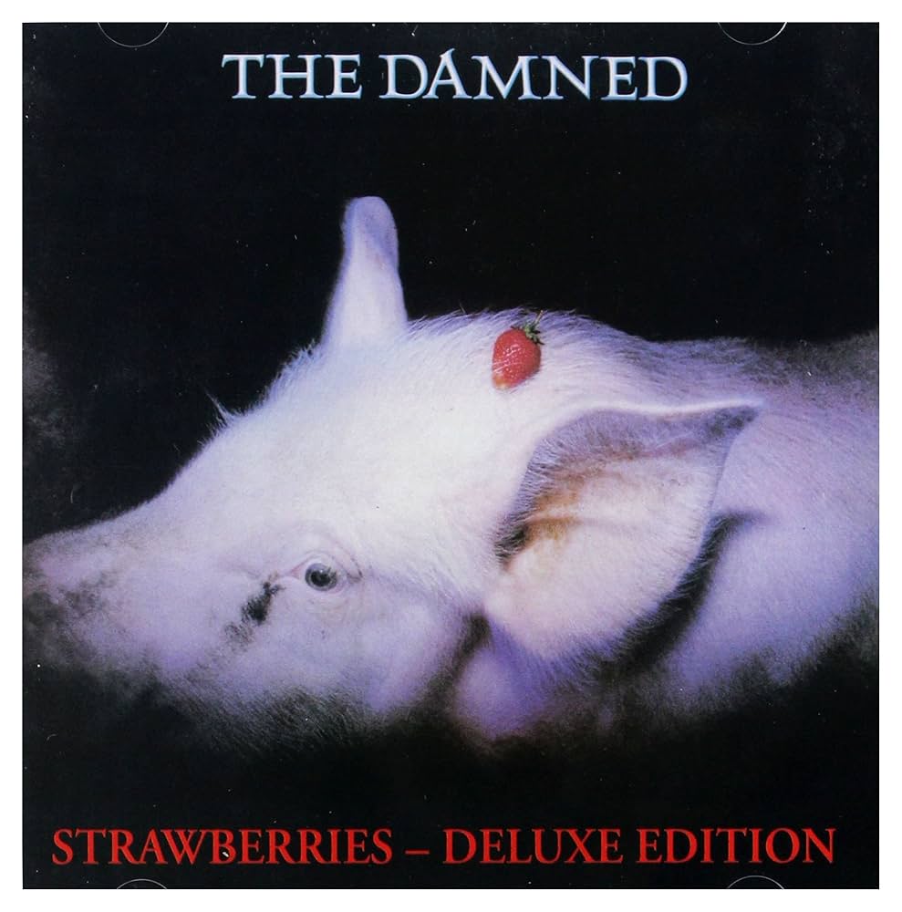 名盤/廃盤】strawberry record アルバム3枚セット Amazon.com