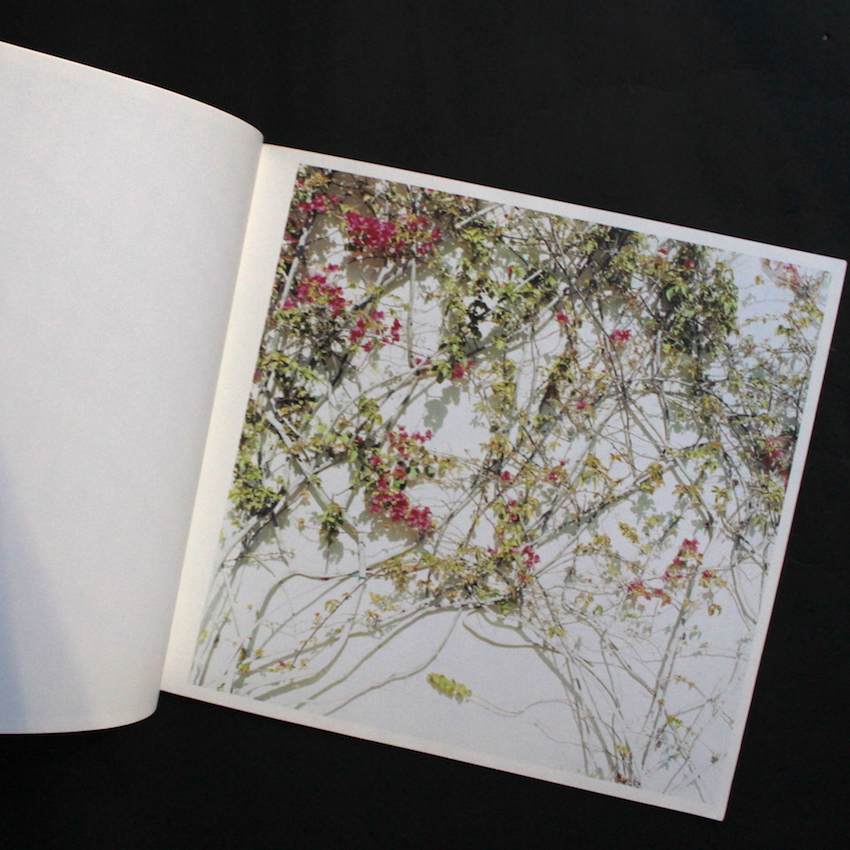 Slicer - 森本 美絵 / Mie Morimoto