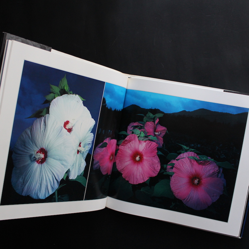 花狩 / Botanical Planetarium - 山村 雅昭 / Gasho Yamamura