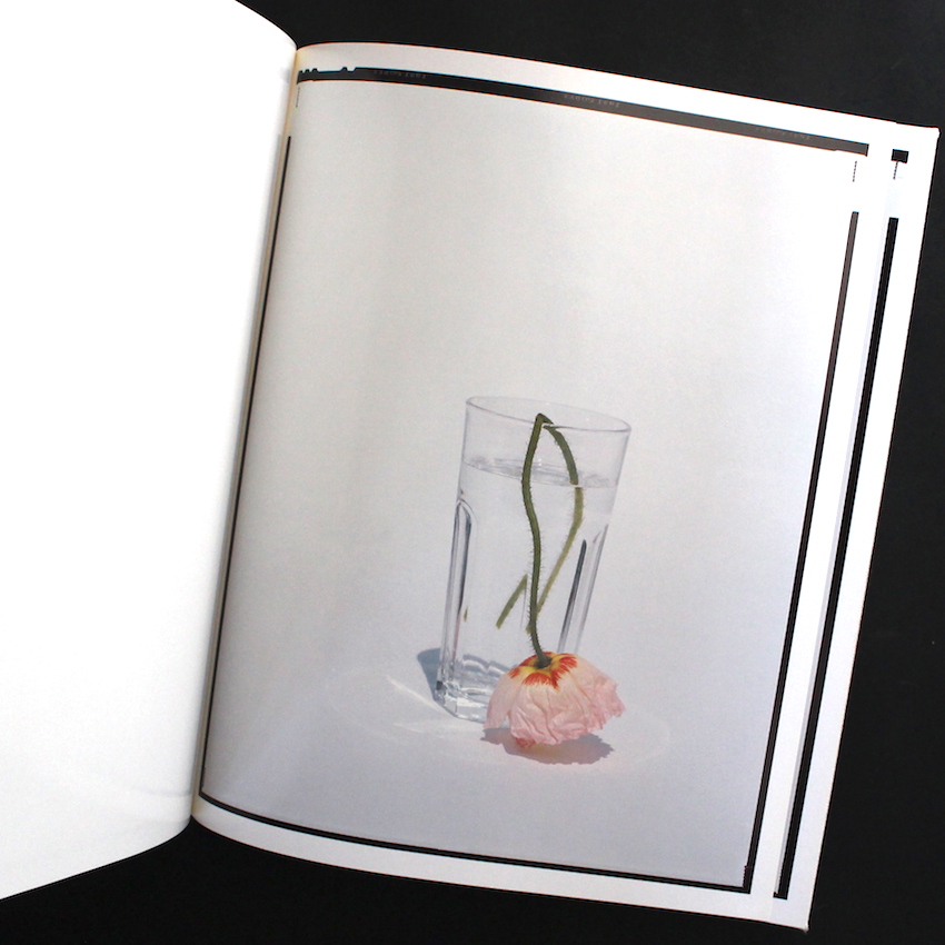 Flowers - 上田 義彦 / Yoshihiko Ueda