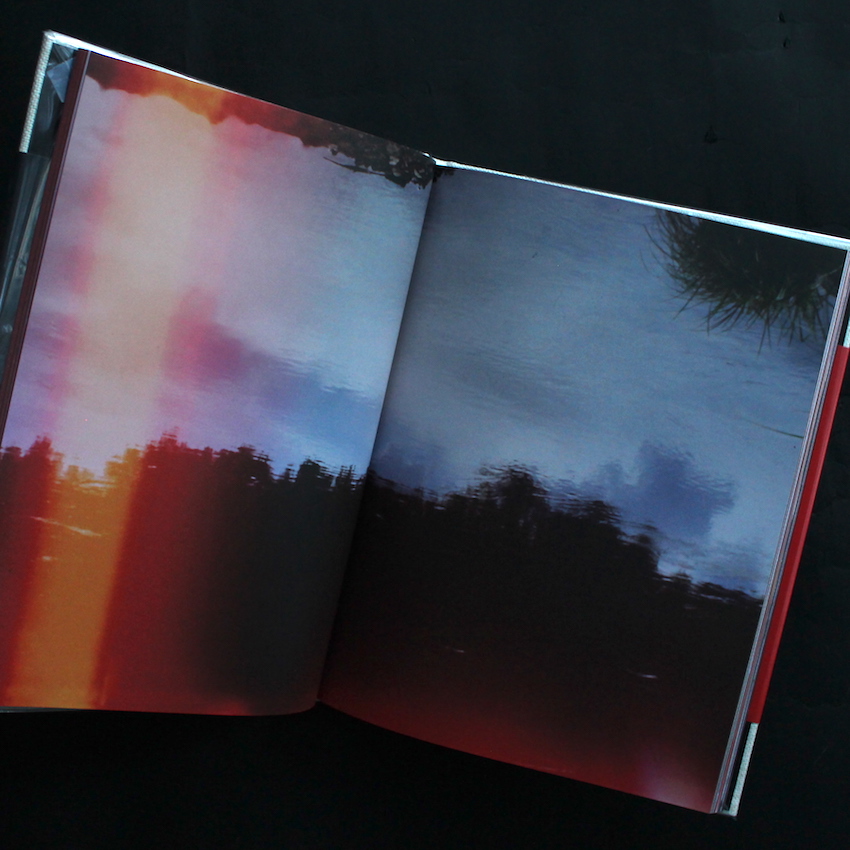 Abandom Reverie - Mark Borthwick