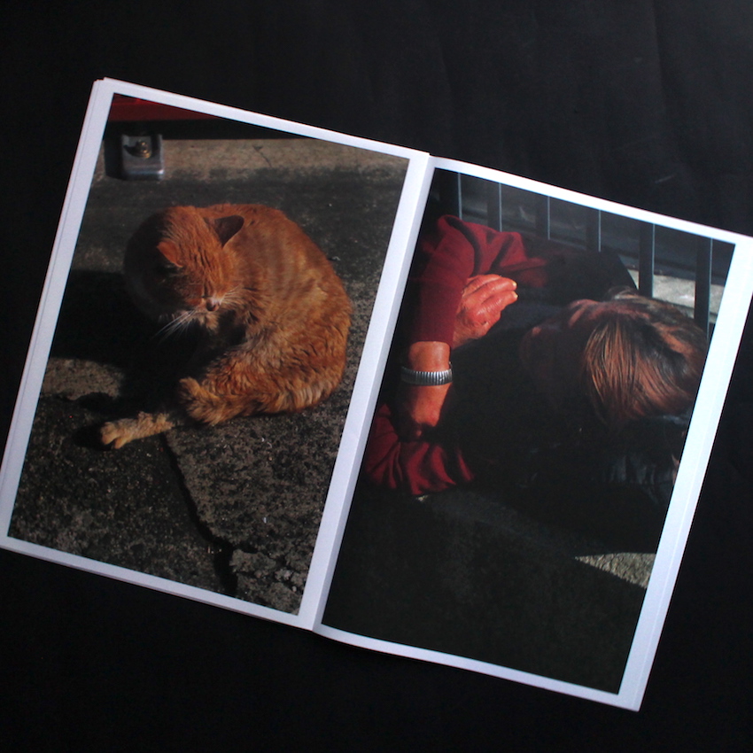 中平卓馬タブロイド判写真集（オシリス） - 中平 卓馬 / Takuma Nakahira