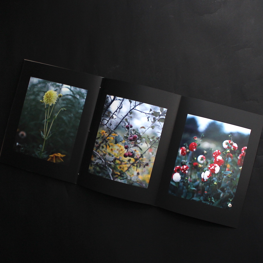 Etude（Cover A） - 鈴木 理策 / Risaku Suzuki