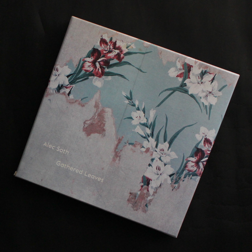 Gathered Leaves（Signed） - Alec Soth