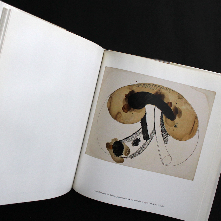 Drawings - Irving Penn