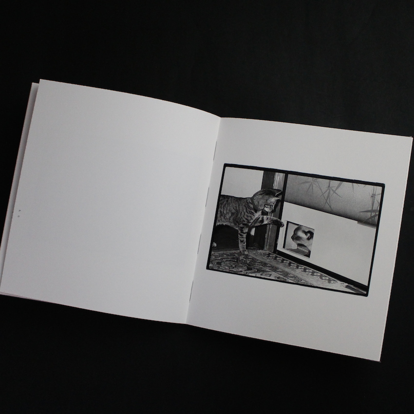 Wonderful Days - 深瀬 昌久 / Masahisa Fukase