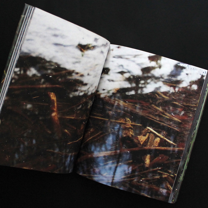 into the forest（Signed） - 田淵 三菜 / Mina Tabuchi