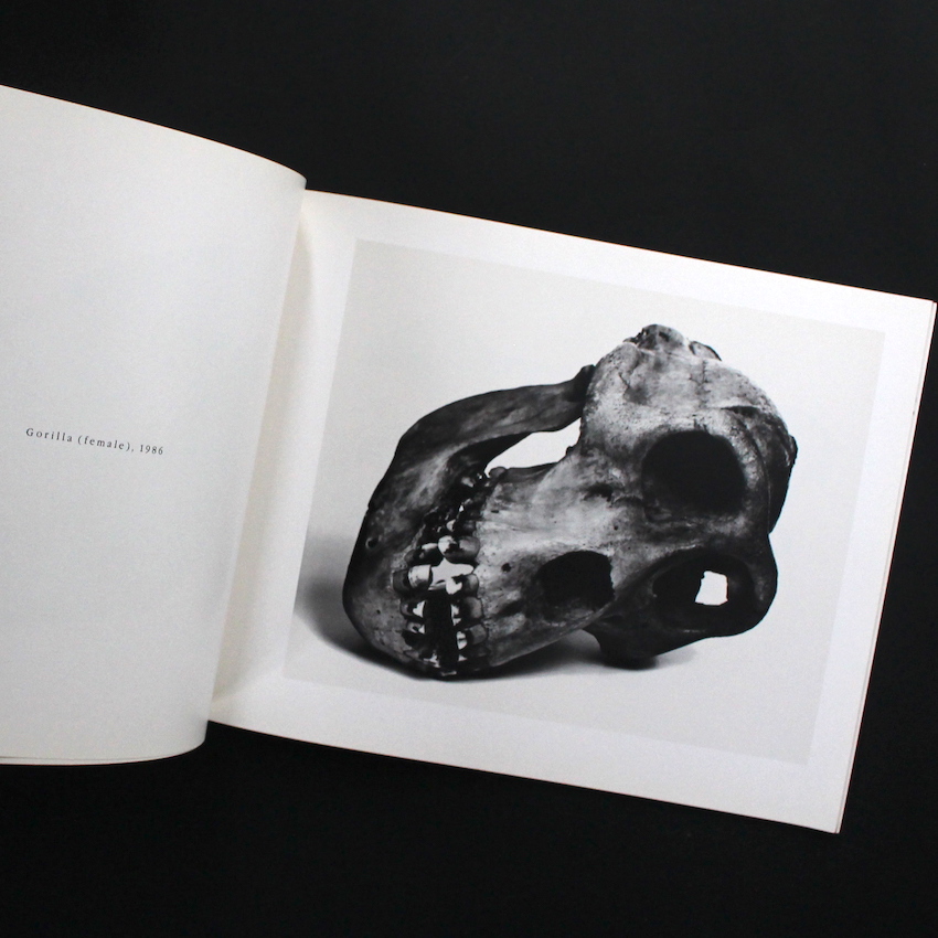 Cranium Architecture - Irving Penn