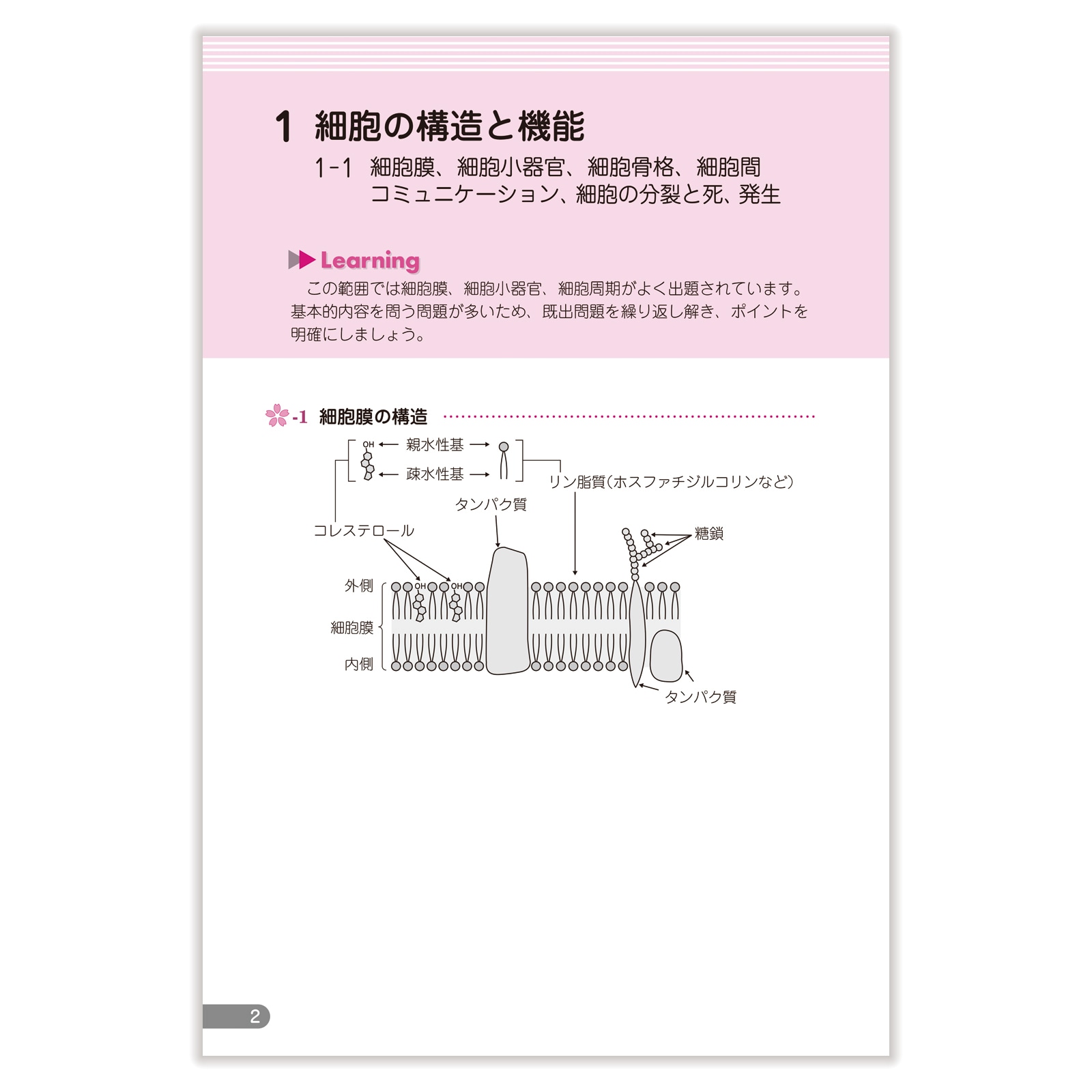 領域別既出問題集〔改訂第13版〕 ③生物 | 国家試験対策 | 薬ゼミ