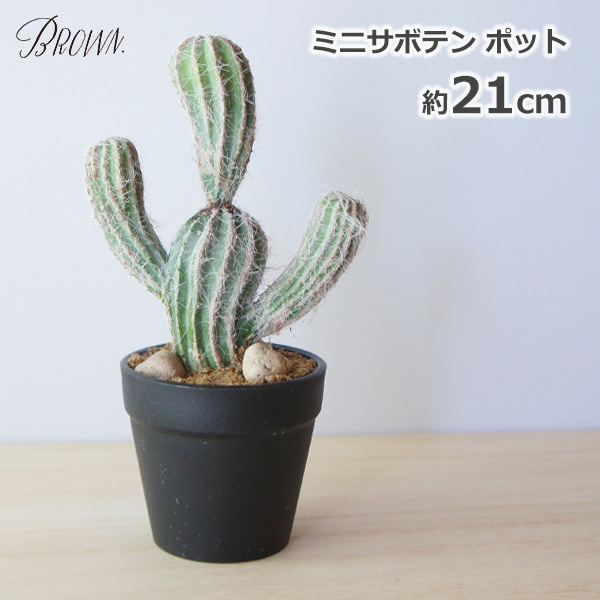 フェイクグリーン 観葉植物 人工観葉植物 造花 おしゃれ サボテンミニ