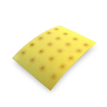 氣代謝・光セラピー,ロゴグッズ | ひのきの森byBMD オンラインショップ