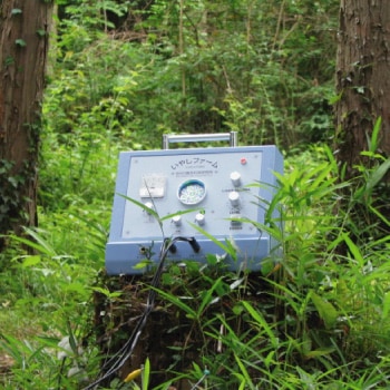 氣代謝・光セラピー | ひのきの森byBMD オンラインショップ