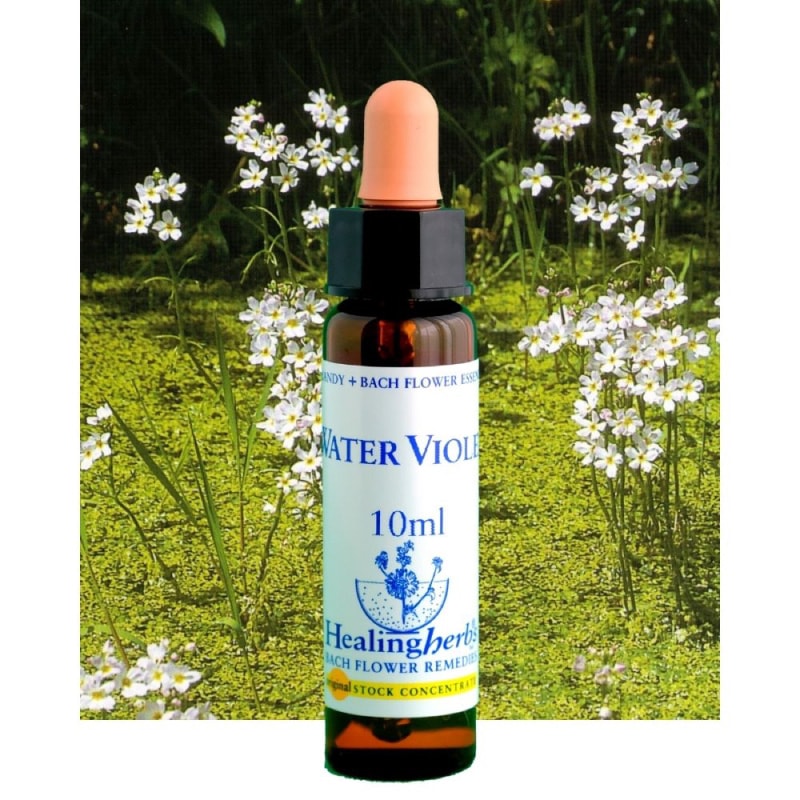 フラワーエッセンス 19 ウォーターバイオレット [ヒーリングハーブス