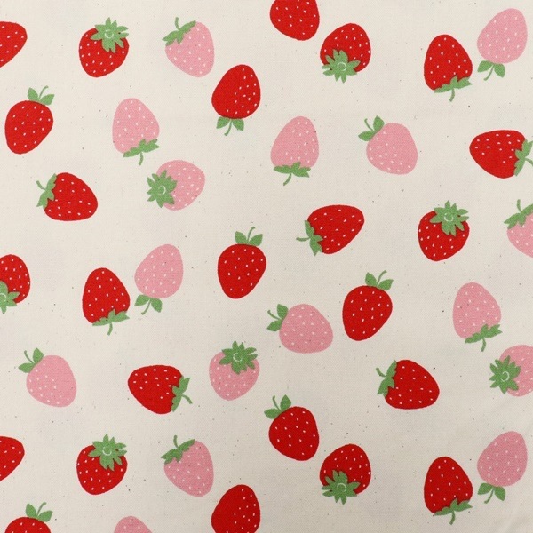 生地 イチゴオックス 2025 入園入学 DR2409-8 | 手芸センタードリーム