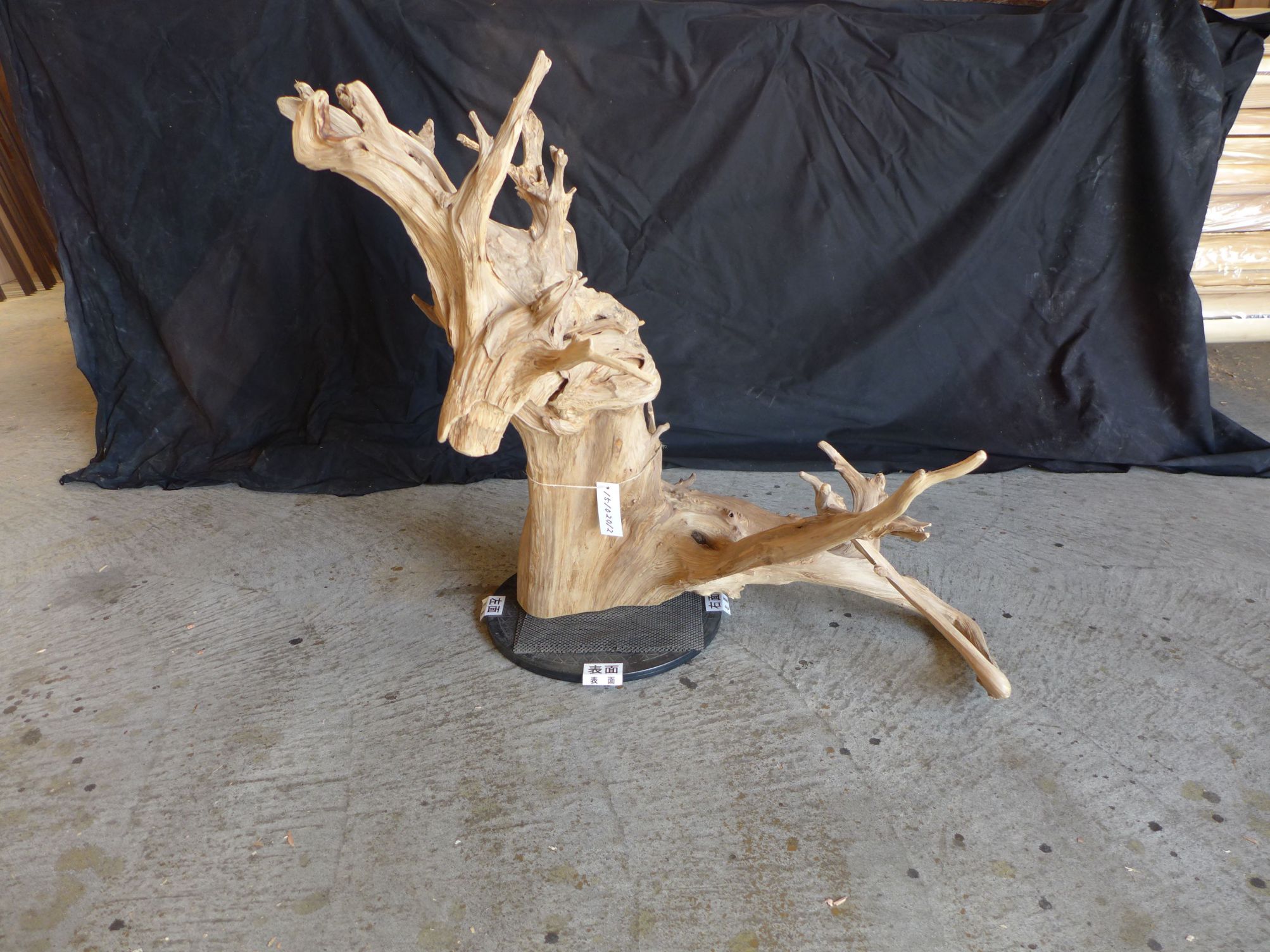 流木 インテリア オブジェ 76×70×130cm 15102012｜流木 インテリア