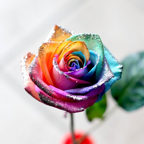 キラキラレインボーローズ 10本の花束 | バラ・生花,キラキラ