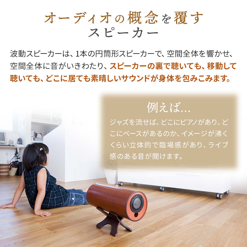 受注生産】波動スピーカー 5.0ch ドコデモセット【送料無料】｜波動