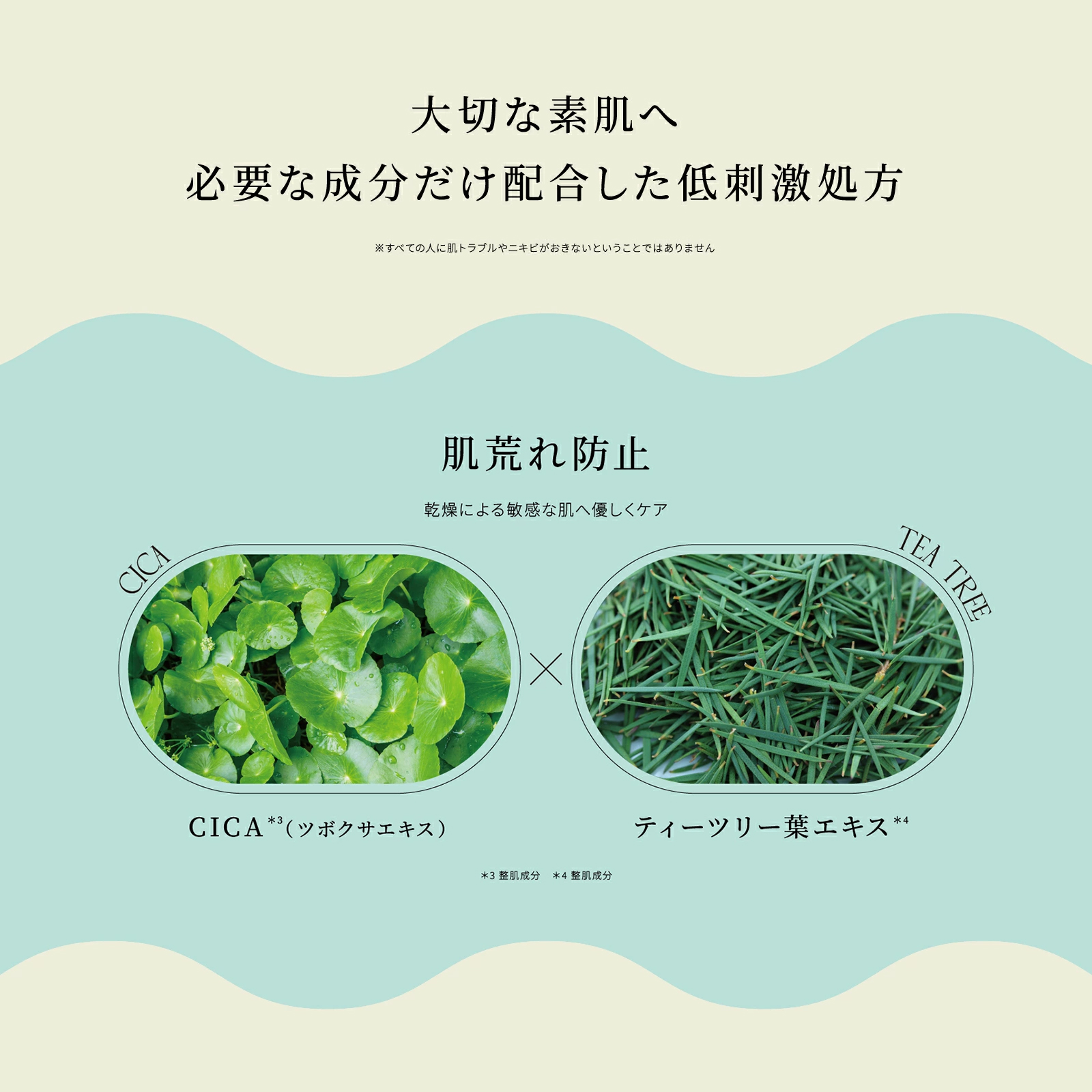 マルマンH&B株式会社｜ピュレア クリアエッセンスクリーム